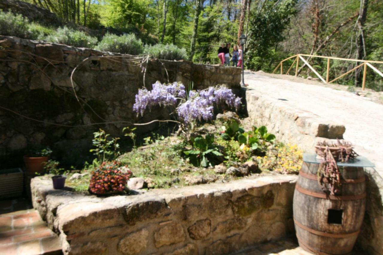 Villa Il Mulino Del Rigualdo Torniella Exterior foto